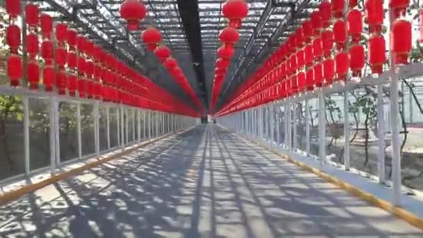 赤いランタンが並ぶ道は 北中国の公園につながります — ストック動画