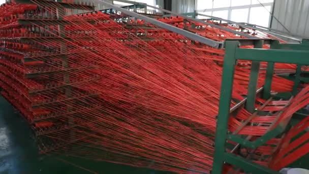 Garis Produksi Kantong Tenun Plastik Sebuah Pabrik Cina Utara — Stok Video