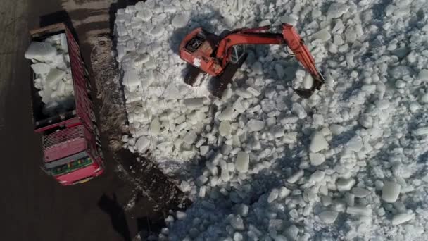 2021年1月22日 中国河北省阮南县 挖掘机在冰窖的冰堆上堆装冰块 — 图库视频影像