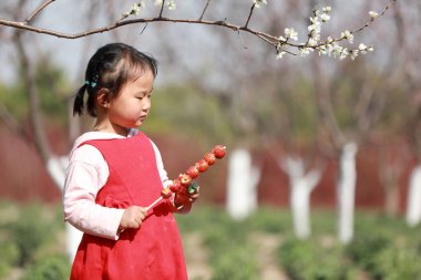 LUANNAN COUNTY, Hebei Eyaleti, Çin - 22 Mart 2020:.