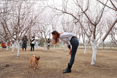 LUANNAN COUNTY, Hebei Eyaleti, Çin - 24 Mart 2020: Kuzey Çin 'deki parkta oynayan bayanlar.