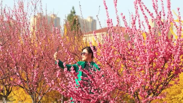 Luannan County China Abril 2020 Senhoras Apreciam Flor Pêssego Parque — Vídeo de Stock