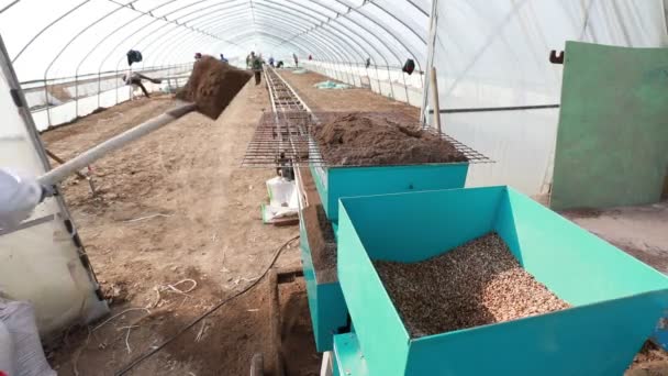 Luannan County China April 2020 Landbouwers Gebruiken Landbouwmachines Zaden Planten — Stockvideo