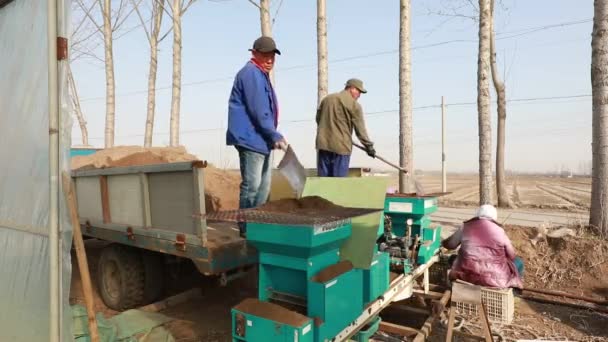 Luannan County China April 2020 Landbouwers Gebruiken Landbouwmachines Zaden Planten — Stockvideo