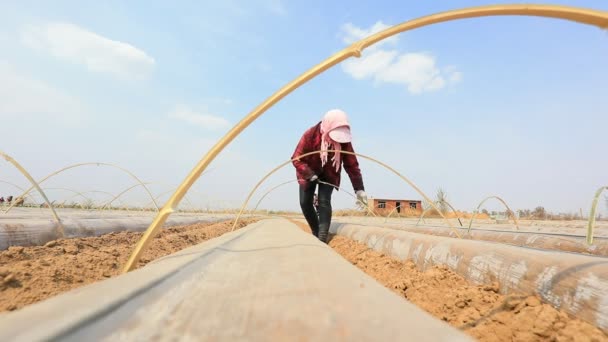 Luannan County China April 2020 Bauern Installieren Bogenschuppen Bambusstütze Luannan — Stockvideo