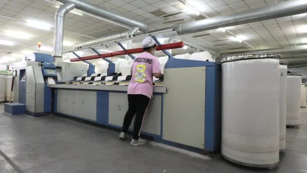 Luannan County Provincie Hebei China April 2020 Vrouwelijke Werknemers Werken — Stockvideo