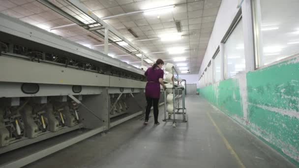 Lannan County Provincie Hebei Čína Dubna 2020 Pracovníci Jsou Zaneprázdněni — Stock video