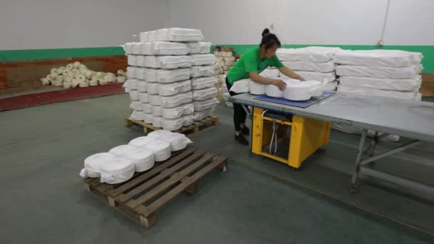 Luannan County Hebei Province Κίνα Απριλίου 2020 Εργαζόμενοι Συλλέγουν Βαμβακερά — Αρχείο Βίντεο