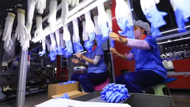 Luannan County Província Hebei China Abril 2020 Trabalhadores Estão Ocupados — Vídeo de Stock