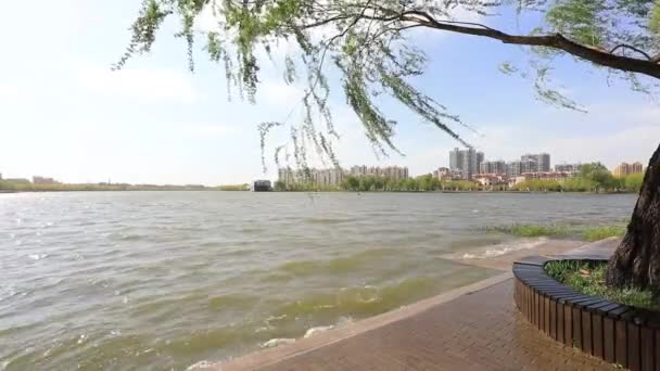 ウォーターフロントシティ 北中国の建築景観 — ストック動画
