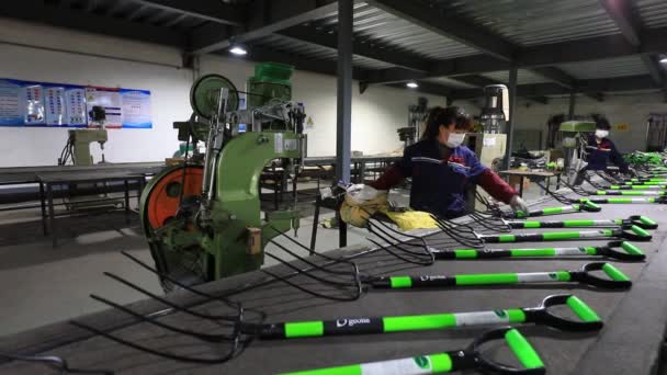 Luannan County Provincia Hebei China Abril 2020 Los Trabajadores Están — Vídeos de Stock