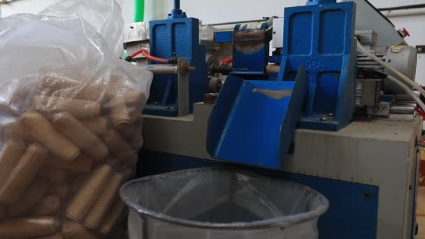 Línea Producción Procesamiento Mango Madera Una Planta Producción Palas Acero — Vídeo de stock
