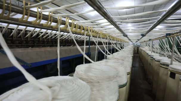Kuzey Çin Deki Dönen Bir Fabrikada Pamuk Üretim Hattı Tarandı — Stok video