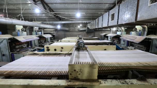 Máquinas Equipamentos Linha Produção Produtos Algodão Norte China — Vídeo de Stock