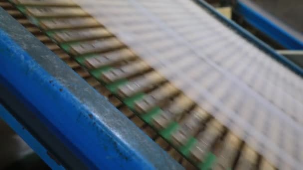 Maquinaria Equipo Línea Producción Productos Algodón Norte China — Vídeo de stock