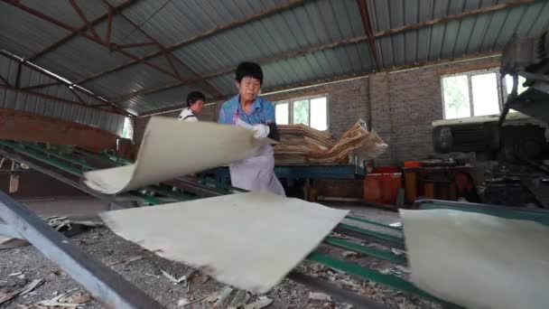 Lannan County Provincie Hebei Čína Června 2020 Dělníci Nosí Čipy — Stock video