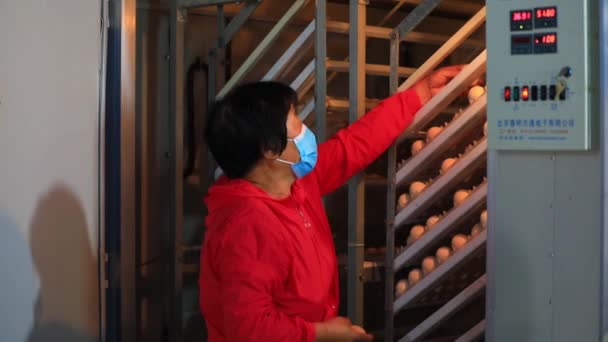Comté Luannan Province Hebei Chine Juillet 2020 Les Travailleurs Vérifient — Video
