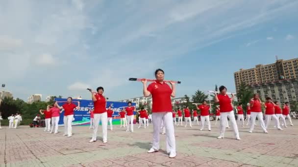 Luannan County Επαρχία Hebei Κίνα Αυγούστου 2020 Γυναίκες Παίζουν Στην — Αρχείο Βίντεο