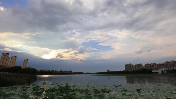 Peisaj Arhitectural Orașului Malul Mării China Nord — Videoclip de stoc