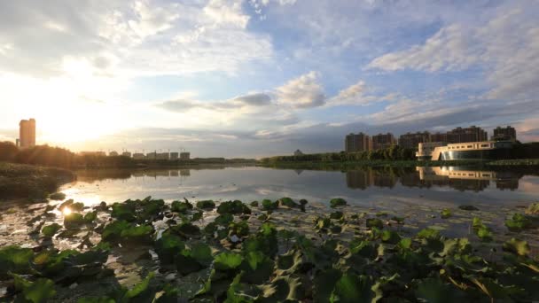 华北滨海城市建筑景观 — 图库视频影像