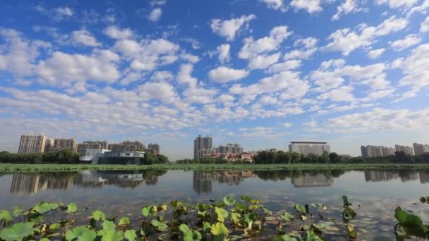 Архітектурні Пейзажі Набережної Міста Північний Китай — стокове відео