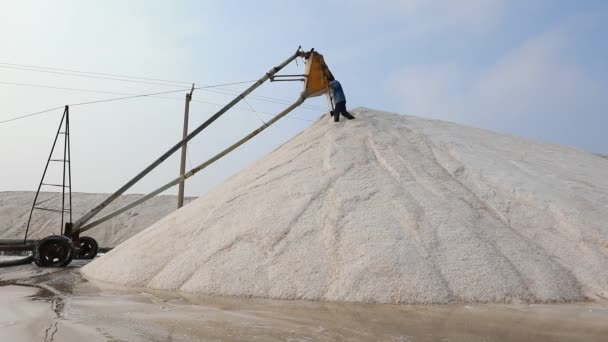 Hidraulikus Csővezeték Tengeri Sót Gyűjt Halmoz Fel Kristályosító Tartályban — Stock videók