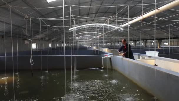 Luannan Lower Hebei Province China October 2020 Workers Feed Mariculture — Stock Video