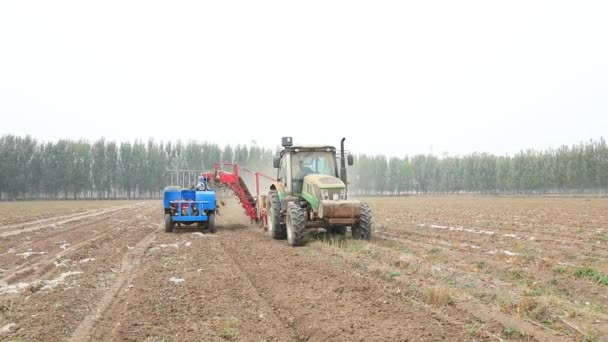 中国北方农民使用农业机械收割田里的焦油 — 图库视频影像