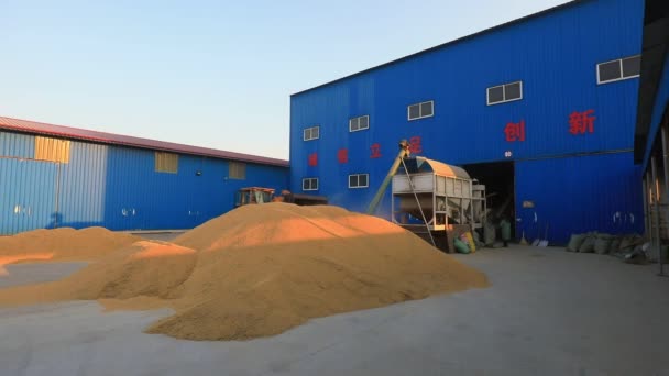 Luannan County Hebei Eyaleti Çin Ekim 2020 Pirinç Ambarın Dışına — Stok video