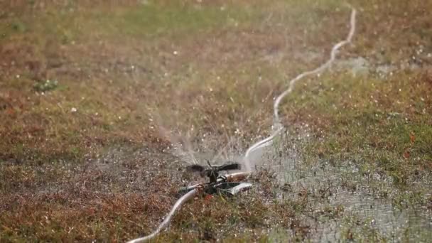 公园草坪上的洒水系统正在喷水 — 图库视频影像