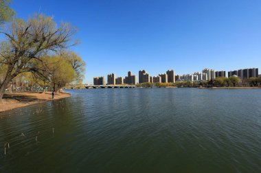 Waterfront City Mimarlık, Kuzey Çin