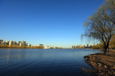 Waterfront City Mimarlık, Kuzey Çin