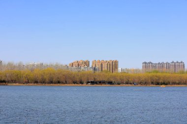 Rıhtıma bakan şehrin mimari manzarası