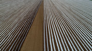 Fıstık, tarım arazisinde plastik film, hava fotoğrafı, Kuzey Çin Ovası