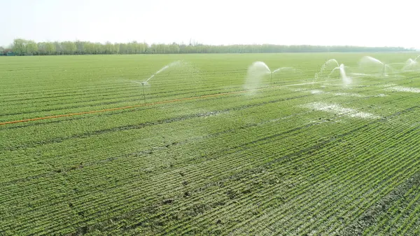 Sprinkler irrigation equipment running in wheat field, North China Plain