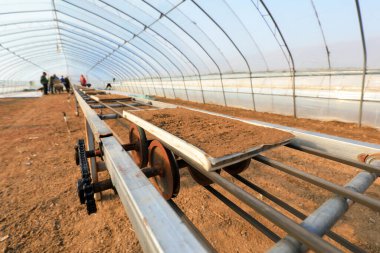 LUANNAN COUNTY, Hebei Eyaleti, Çin - 8 Nisan 2020: Çiftçiler pirinç filizlendirme üssünde mekanize fideleri taşıyorlar.