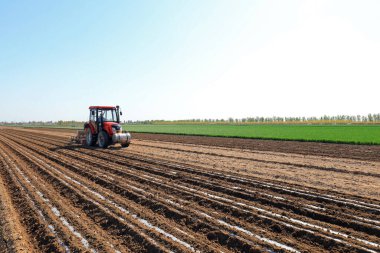 Çiftçiler, çiftlikte plastik yer fıstığı yetiştirmek için tohum ekerler..