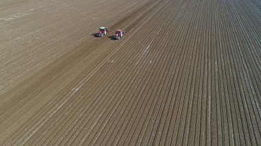 Çiftçiler, Kuzey Çin 'de plastik yer fıstığı ekmek için ekicileri sürüyorlar.