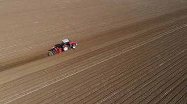 Çiftçiler, Kuzey Çin 'de plastik yer fıstığı ekmek için ekicileri sürüyorlar.