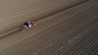 Çiftçiler, Kuzey Çin 'de plastik yer fıstığı ekmek için ekicileri sürüyorlar.