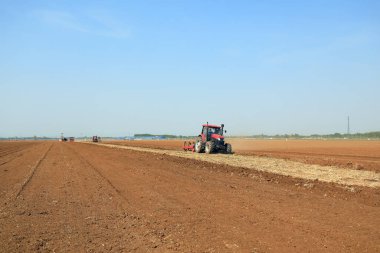Çiftçiler plastik yer fıstığı yetiştirmek için ekicileri kullanır..