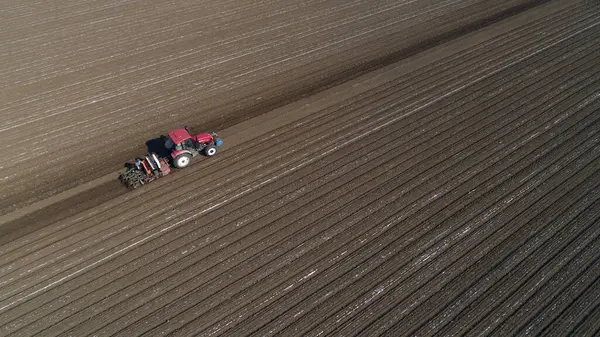 Çiftçiler, Kuzey Çin 'de plastik yer fıstığı ekmek için ekicileri sürüyorlar.