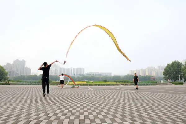 Condado Luannan Provincia Hebei China Agosto 2020 Gente Agita Seda — Foto de Stock