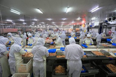 LUANNAN COUNTY, Hebei Eyaleti, Çin - 14 Eylül: İşçiler tavuk segmentasyonunun üretim hattında meşguller