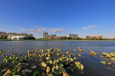 Kuzey Çin, deniz kenti mimari manzarası.