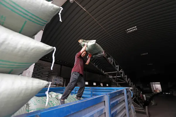 河北省 2020年9月14日 労働者は工場のコンベヤー ベルトの供給を運びました ストック画像