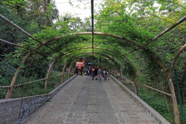 Wisteria koridoru mimari manzarası, Pekin