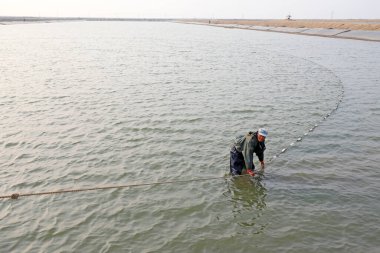 LUANNAN COUNTY, Hebei Eyaleti, Çin - 15 Ekim 2020: İşçiler Kuzey Çin 'deki göletlerde balık ağı kuruyorlar