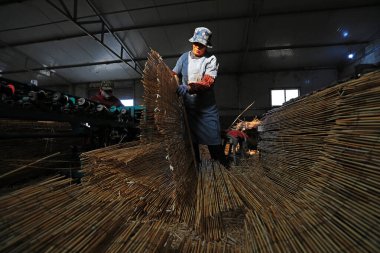 LUANNAN COUNTY, Hebei Eyaleti, Çin - 12 Kasım 2020: işçiler çalışıyor. Sazlık perdesi atölyede.