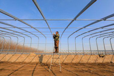 LUANNAN COUNTY, Çin - 2 Aralık 2020: işçiler eliptik galvanize boru iskelet seralar inşa çiftlikler, LUANNAN COUNTY, Hebei Eyaleti, Çin